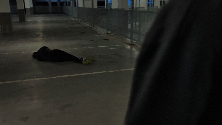 Imatge de Fjerde Mission