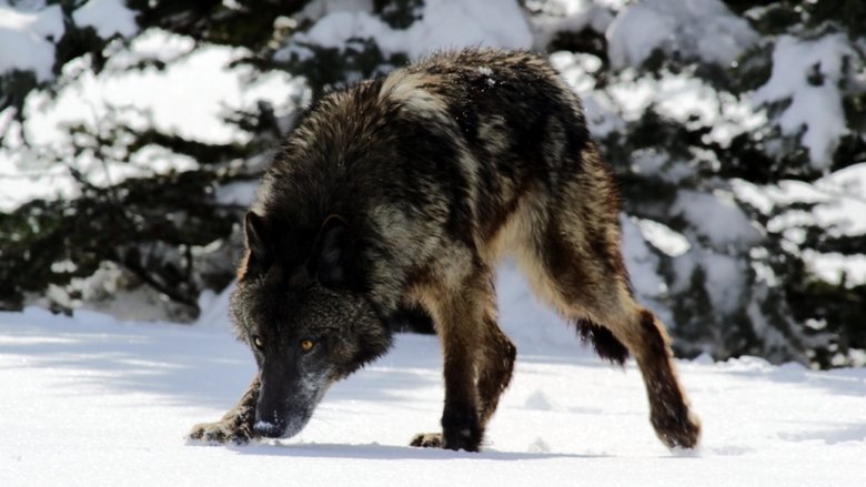 Gallery image from qkOS367MfZxHRgOz7hV1PCJdl9w.jpg