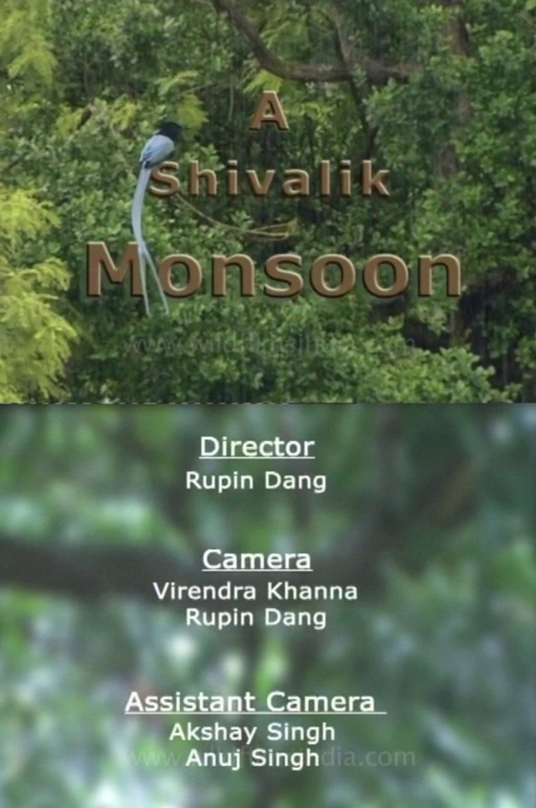 A Shivalik Monsoon background