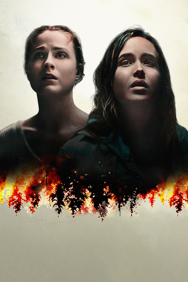 Imatge de Into the Forest