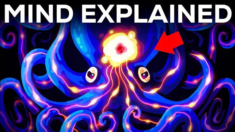 Let’s Dissect Your Brain