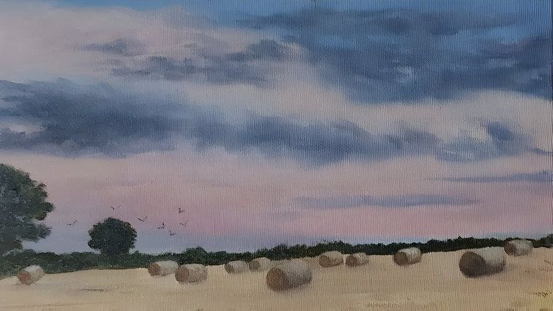 Backdrop from Canfas Dyffryn