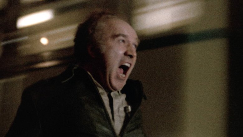 Themroc (1973)