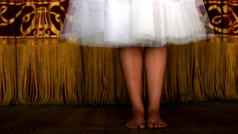 Imatge de Bem-me-quer