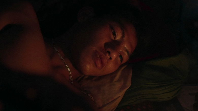 Imatge de Century of Smoke