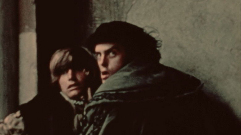 Gallery image from qo3PLthUKfhrWGMrvPLSaRZAIOi.jpg