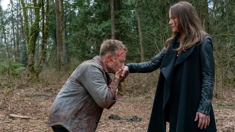 van helsing season 2 streaming van helsing season 2 streaming
