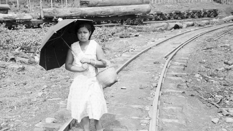 Gallery image from qolKfwXEujGHayZGK3y0G3U9HTM.jpg