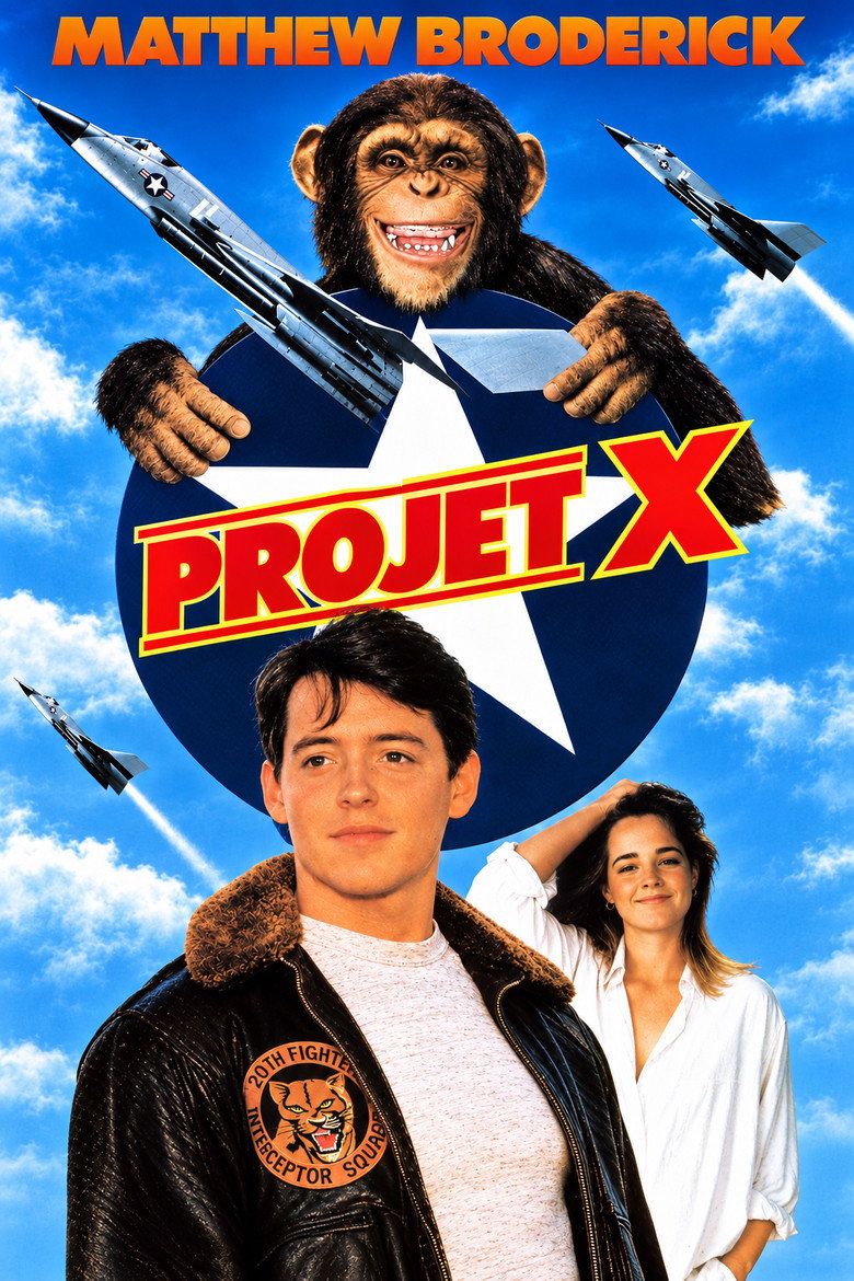 Póster la Película