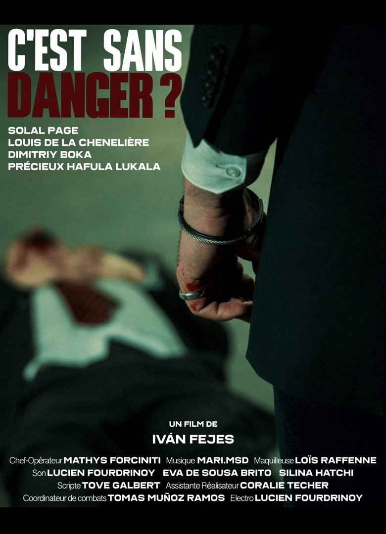 Imatge de C'est sans danger ?