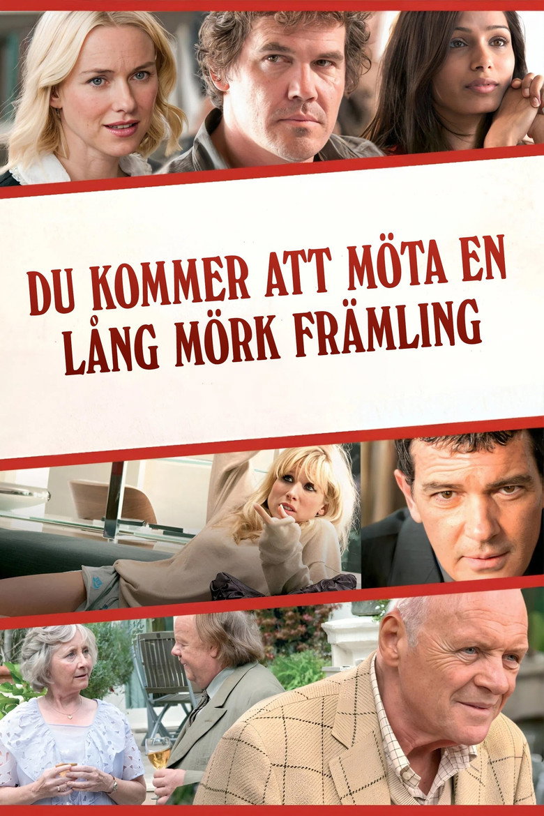 Du kommer att m&ouml;ta en l&aring;ng m&ouml;rk fr&auml;mling (2010)