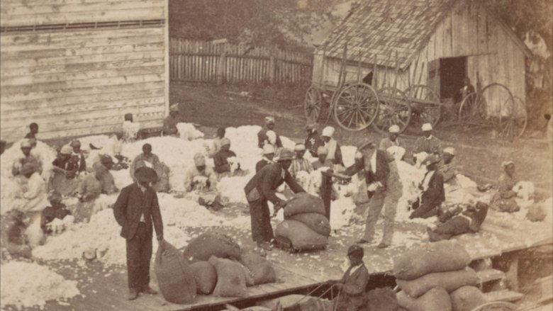 Gallery image from qpKablstqL9oXgqS7TCyRr5EVPl.jpg