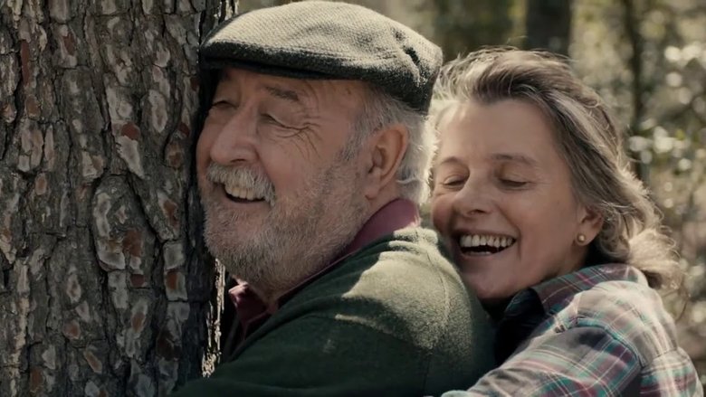 Gallery image from qpVEM2CQsgyH3tSRqvPaPNuw0lV.jpg