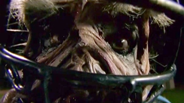 Goosebumps: Chillogy main backdrop