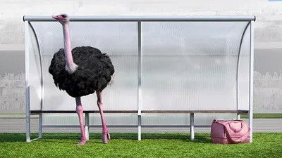 Still image for Athleticus season 1 episode 5: Episode 5