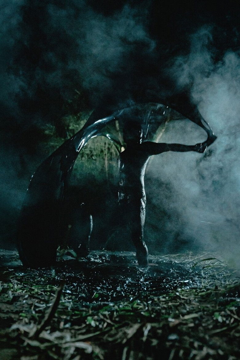 Imatge de Private View: Joshua Serafin