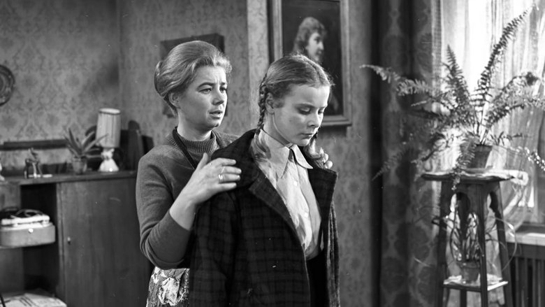 Gallery image from qrSxB5HmHe0DyYy8OcecprkxyFA.jpg