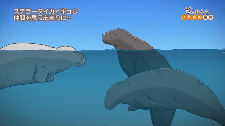 Still image for Encyclopedia of Pitiful Creatures season 1 episode 27: Episode 27