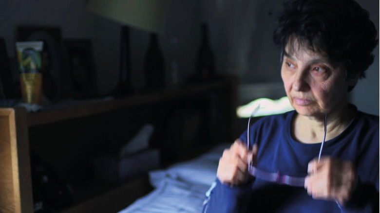 Fons de Notes for a Return