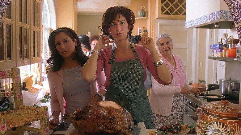 Image d'arrière-plan 2 du film What's Cooking?