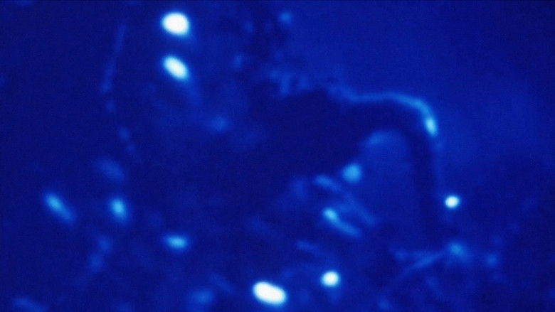 Gallery image from qsYI5bdHzAXZIFwULOfRFsyGaod.jpg