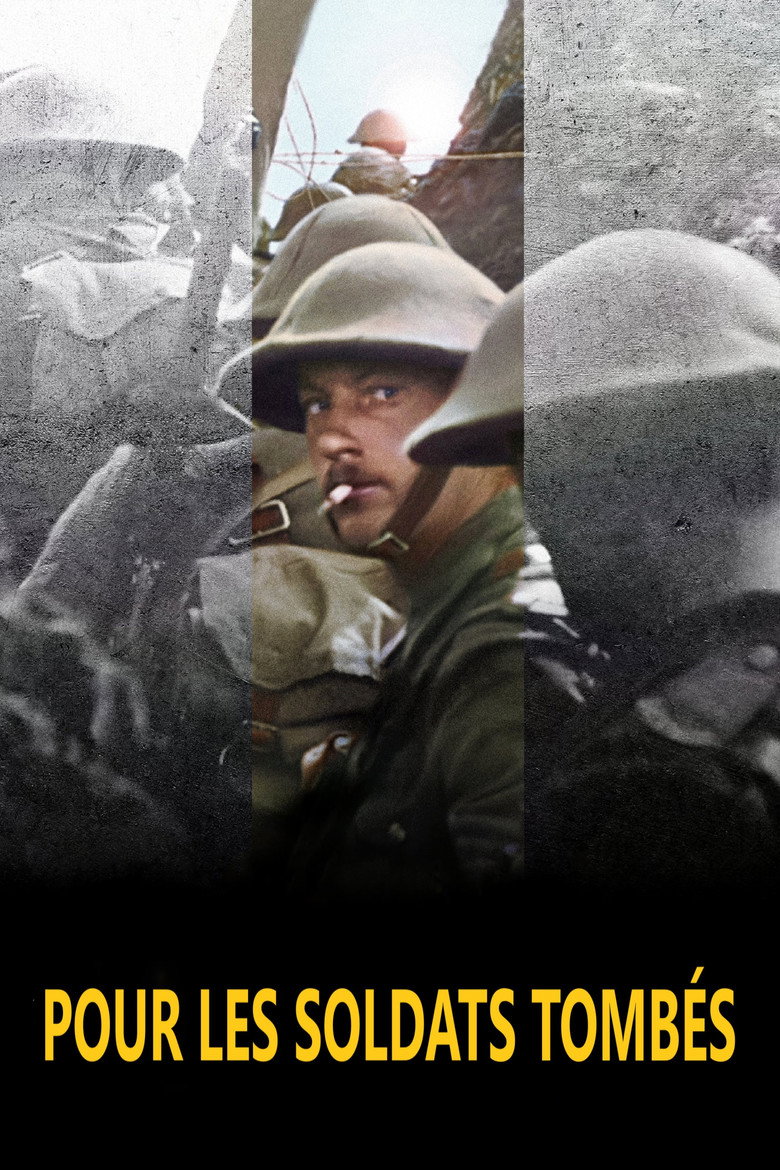 Affiche de POUR LES SOLDATS TOMBÉS