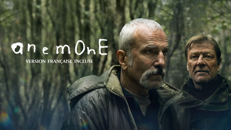 Gallery image from qsyvTdUqRqbfrnpqZBVya3lQMwk.jpg