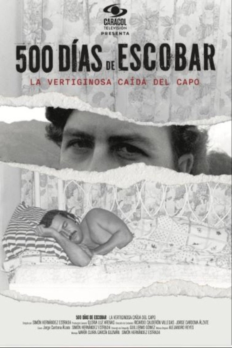 Póster la Película