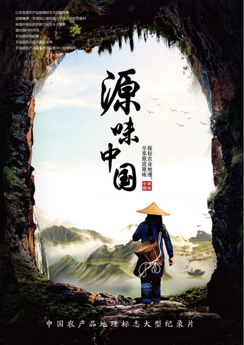 源味中国 (2018) poster