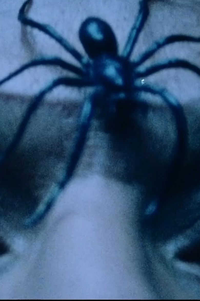 Imatge de À quoi rêve l'araignée ?