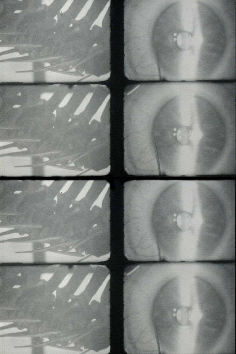 Imatge de It's under the flesh where you are tender