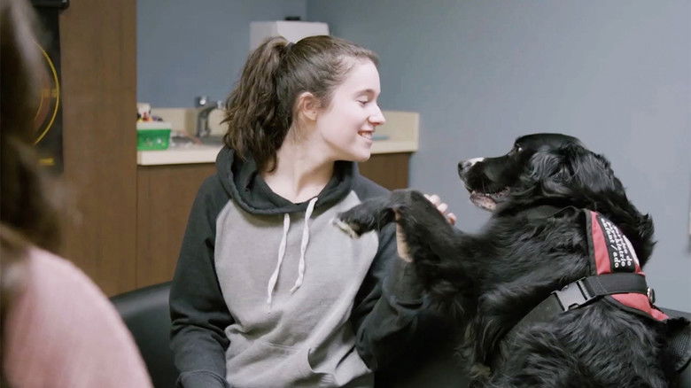 Still image for Ces chiens qui sauvent des vies season 1 episode 4: Episode 4