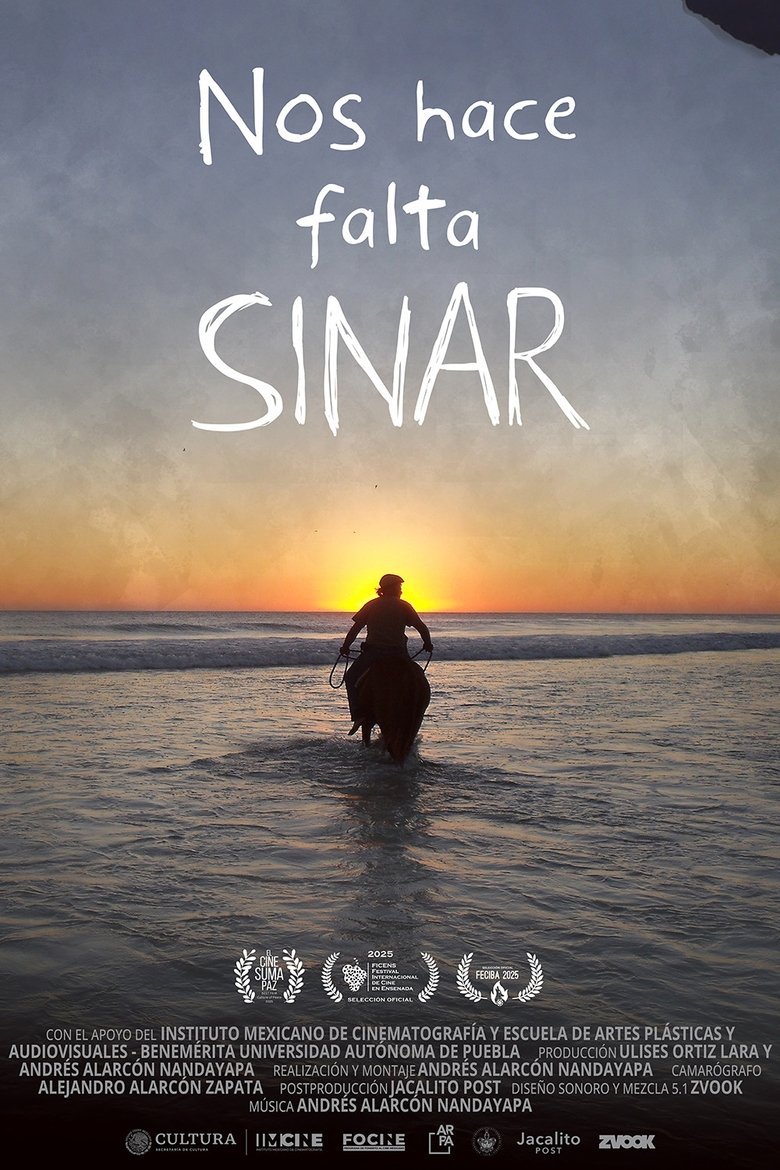 Nos hace falta Sinar