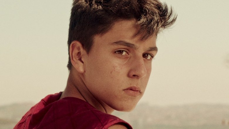 Through a Boy's Eyes (2018)