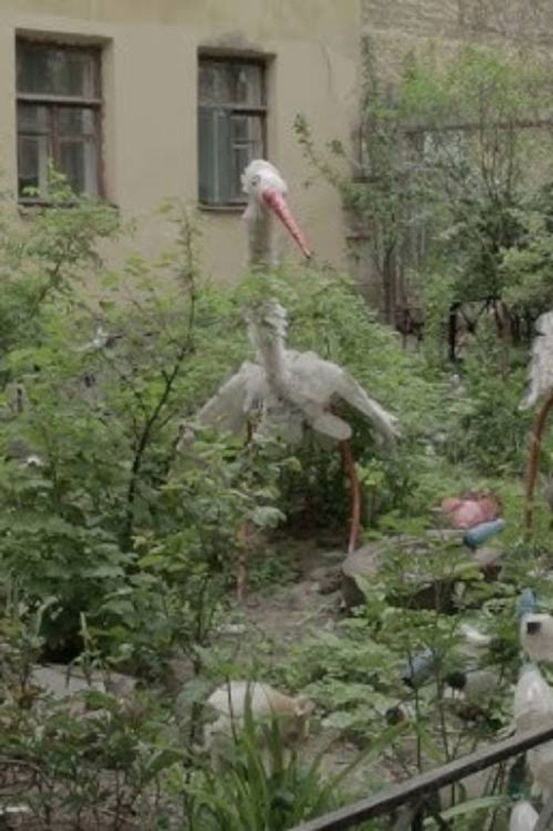 Imatge de Tardo Agosto