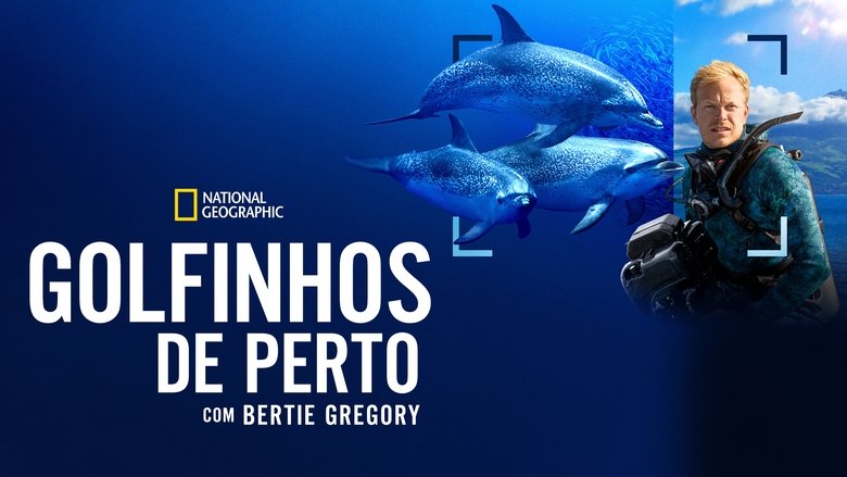 Dolphins Up Close with Bertie Gregory (2025)