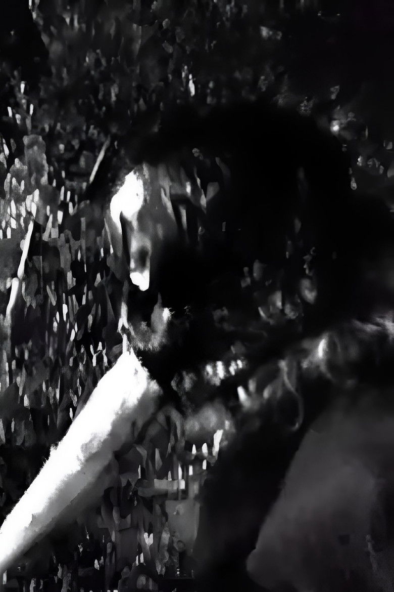 Photo de Orfeas Karavas