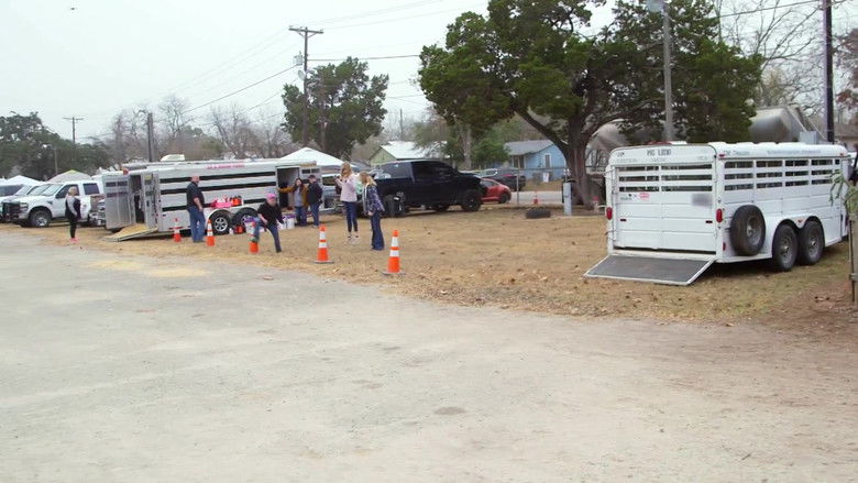 Still image for Pig Royalty season 1 episode 8: Season Finale: Game On!