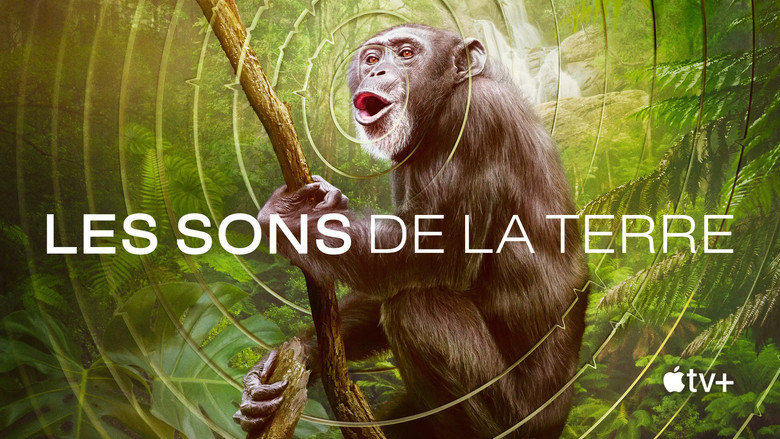 Gallery image from qwlVXwAswAB15aKx5cokMK9AfLi.jpg