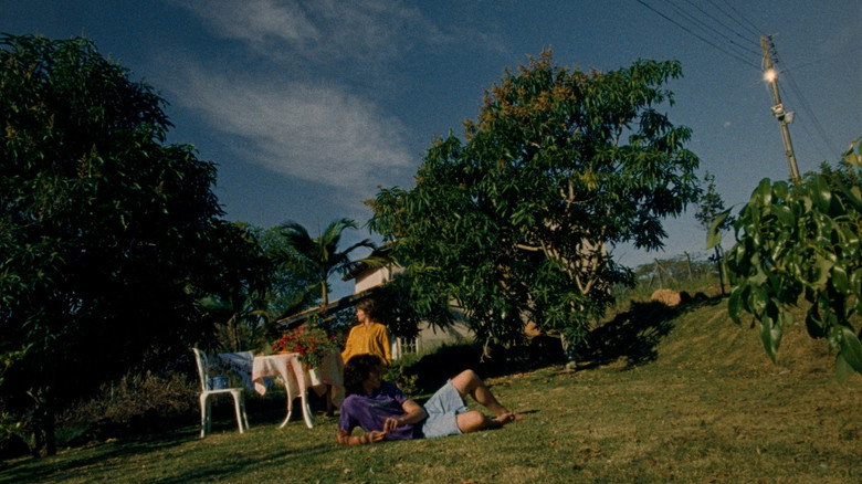 Imatge de Tarde no Planeta