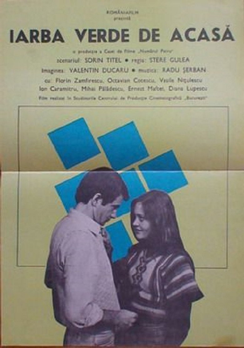 Imatge de Iarba verde de acasă