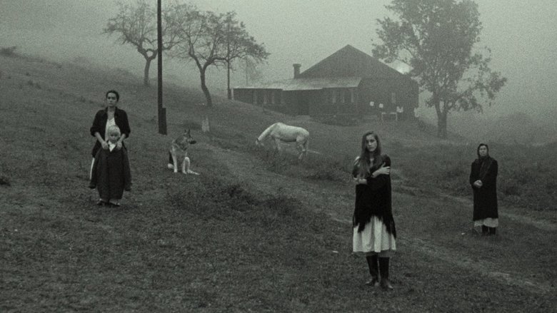 Nostalgia (1983)