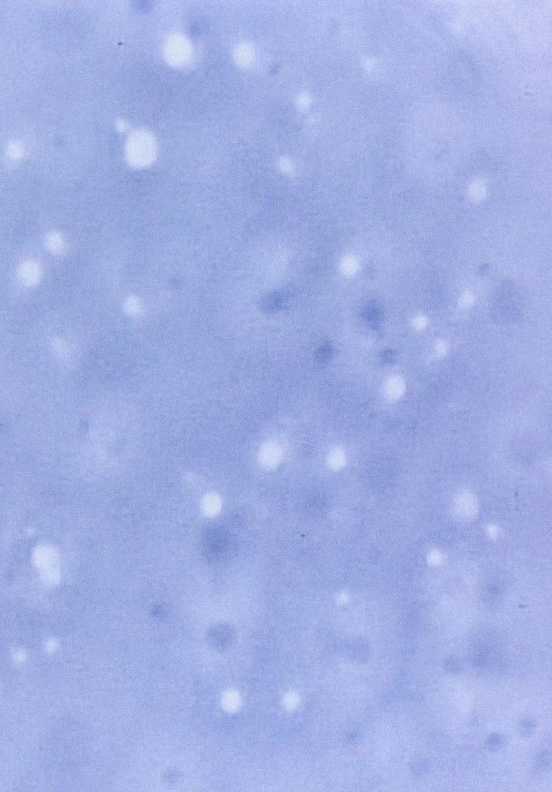 Imatge de Electronic Processes - In Crystal and Living Organism