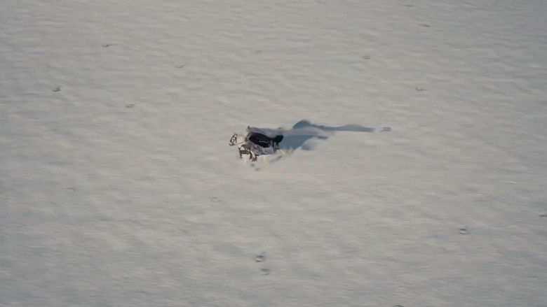 Image d'arrière-plan 5 du film Dracula