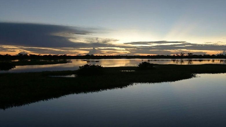 Amazônia - O Despertar da Florestania