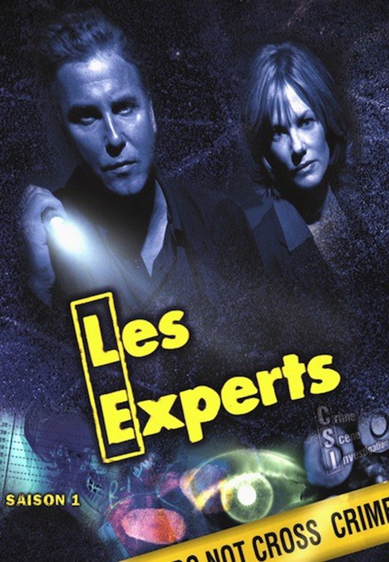 Les Experts poster