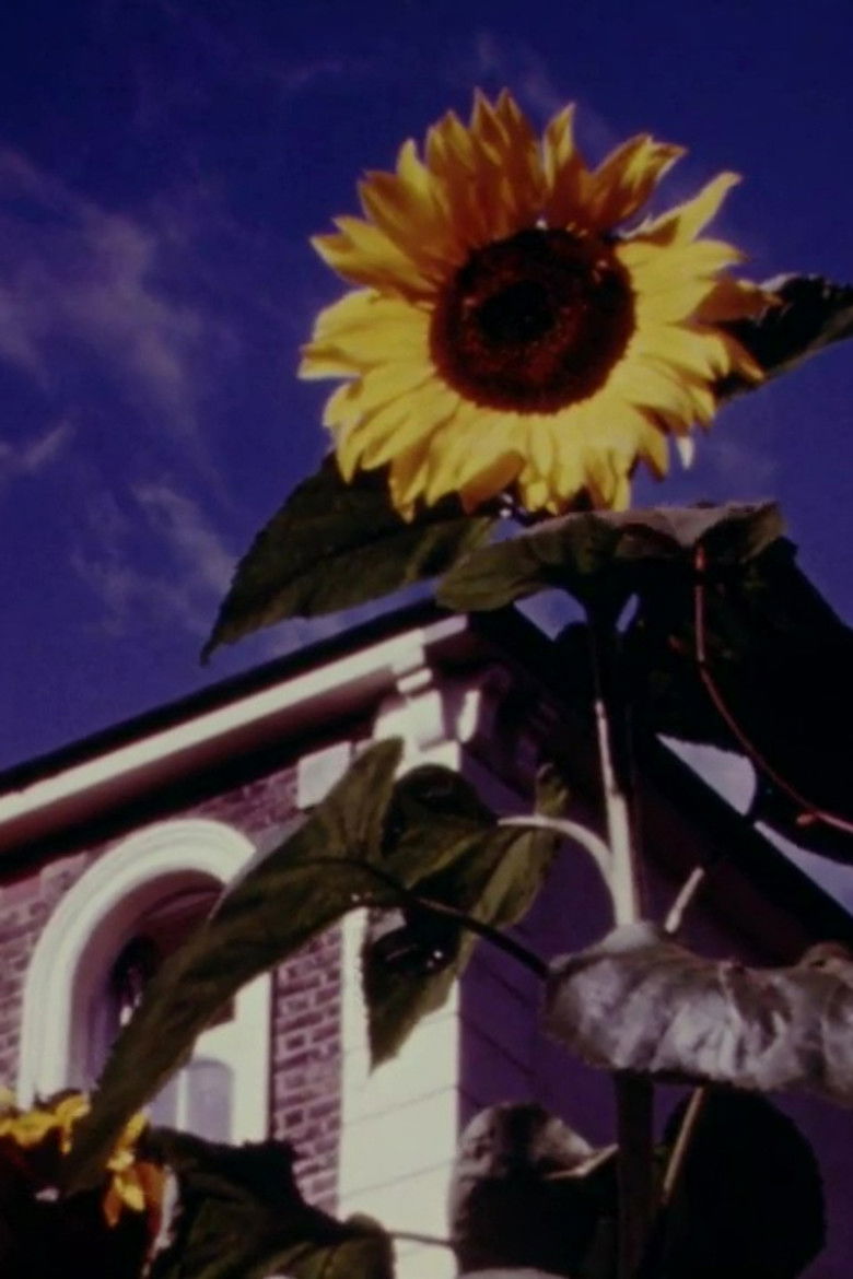 Imatge de Sentimental Journey