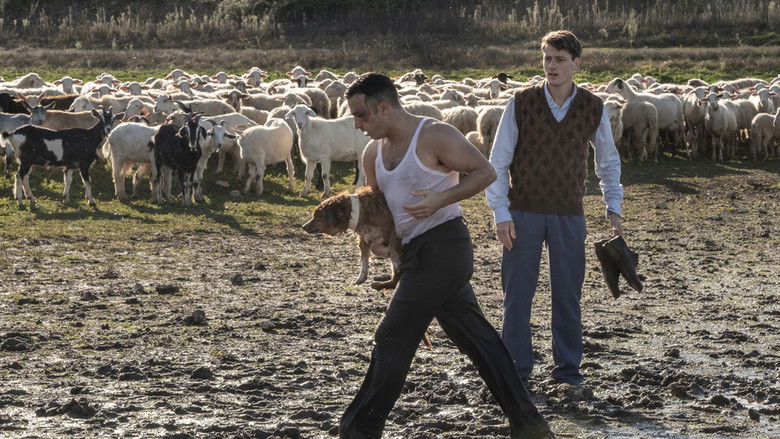 Медиа изображение