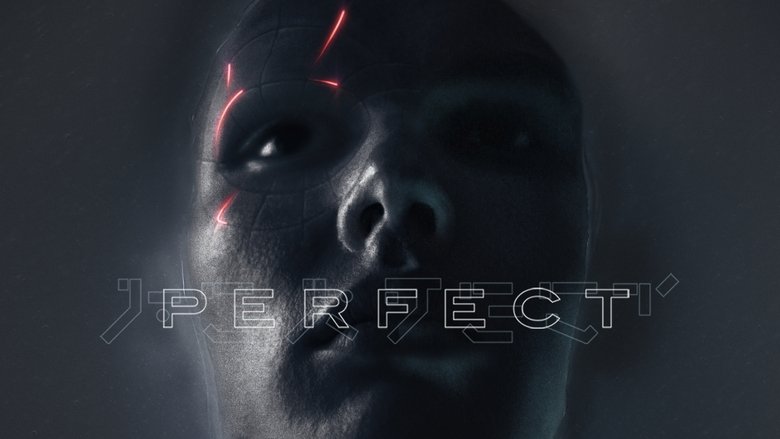Perfect (2019)