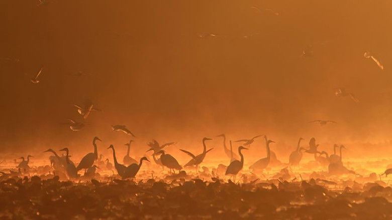 Gallery image from r0Dmh1qhtJL7tCiGaOnx70IF3QL.jpg